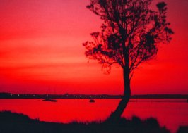 flat,550x550,075,f.u6